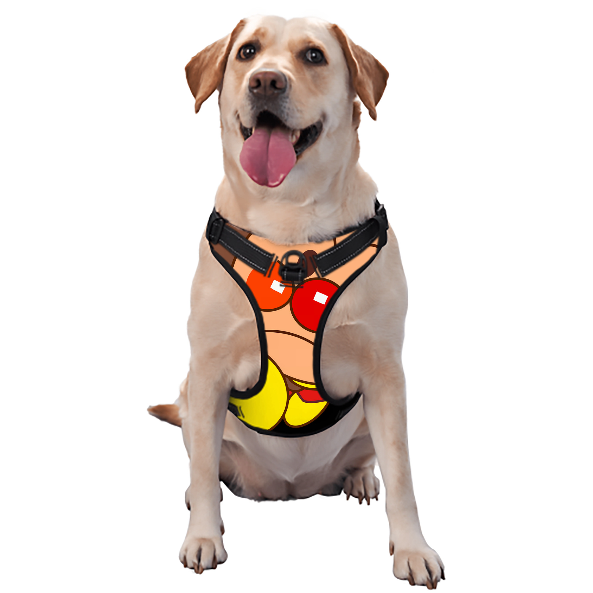 （画像用） アンパンマン Anpanman ペット用ハーネス